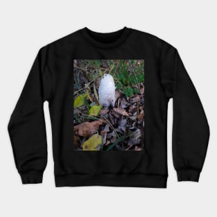 Shaggy Mane Crewneck Sweatshirt